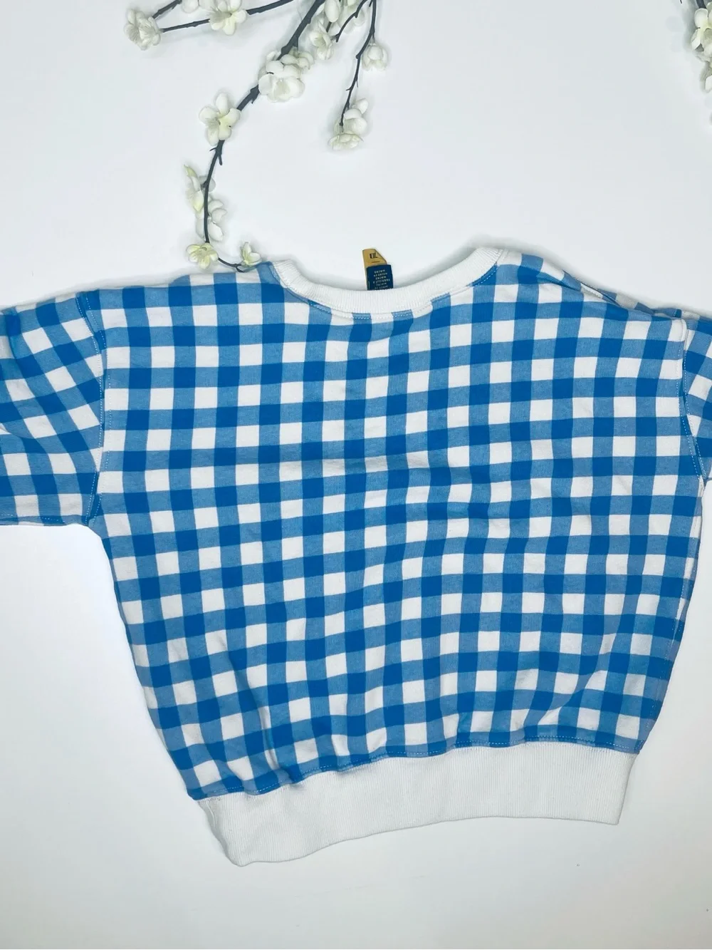 Polo by Ralph Lauren Blue & White Gingham Kids Crewneck Sweatshirt